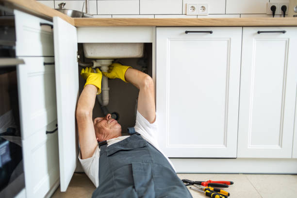 Best Garbage Disposal Repair and Installation  in Rosend, LA